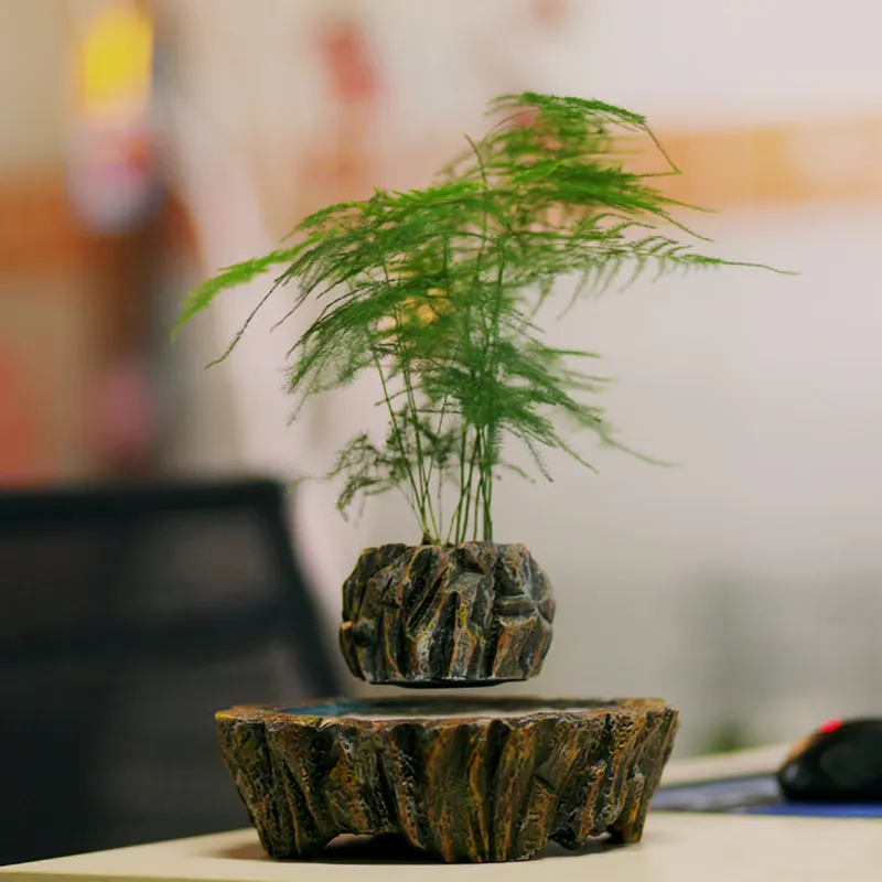 for HCNT Electric Magnetic Lev - Bonsai Vertical Garden recension och pris