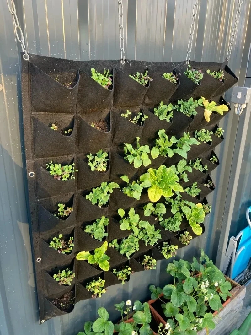 yesWall Hanging Planting Bag M - Bonsai Vertical Garden recension och pris